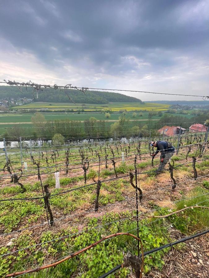 Ferienhaus Traminer Im Weinberg Freyburg Exterior photo