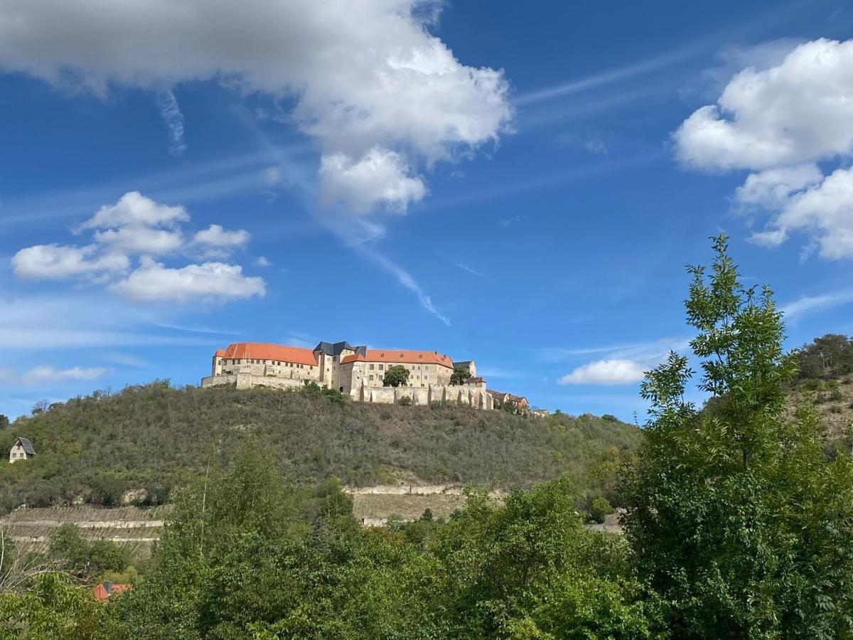 Ferienhaus Traminer Im Weinberg Freyburg Exterior photo